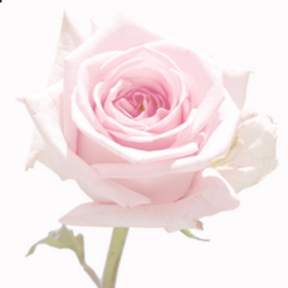 WELCOME - Picture 11 of 12